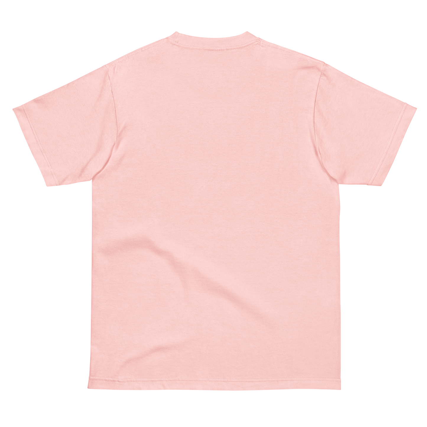 DISCs TEE2