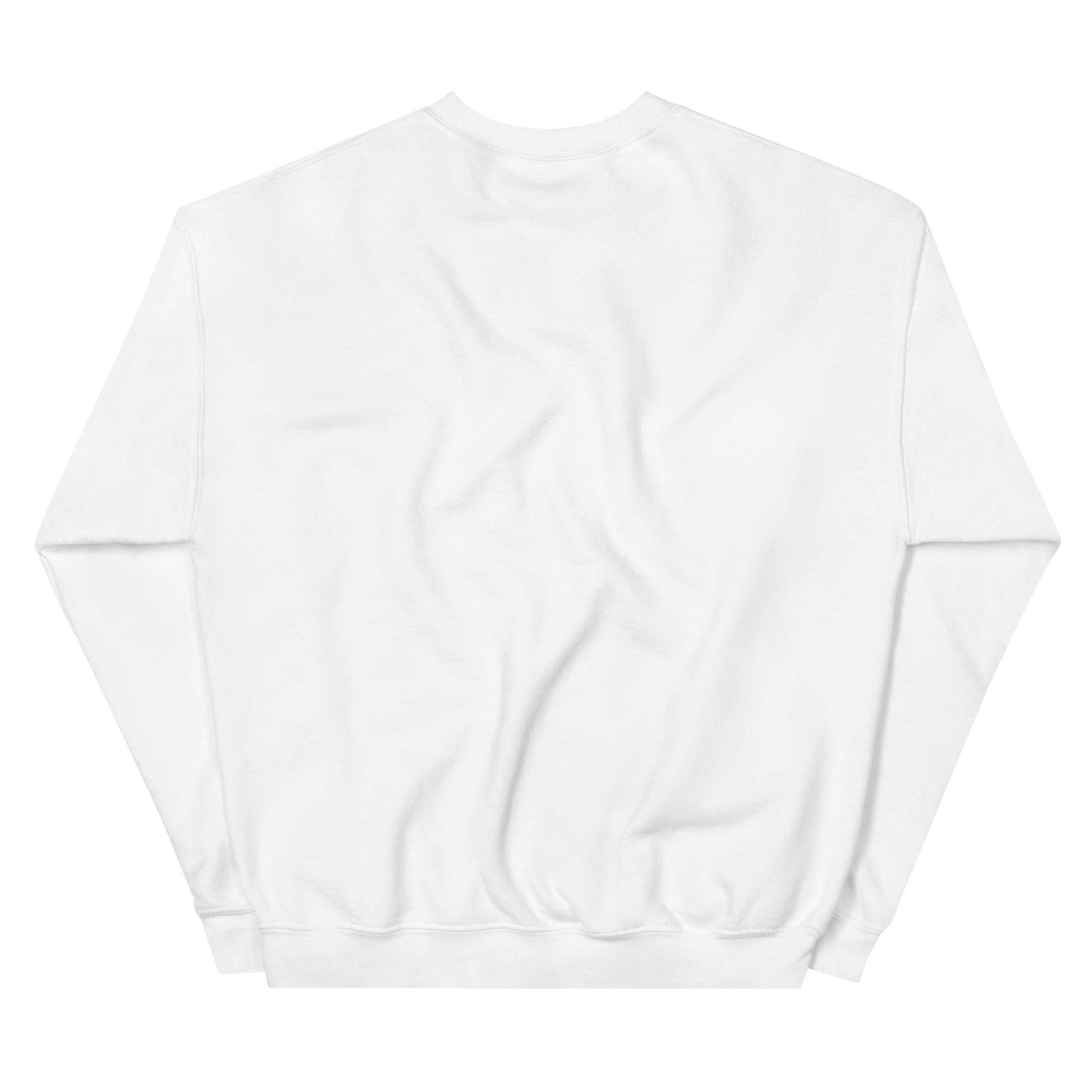 DISCs SWEAT SHIRT - smalls TOKYO